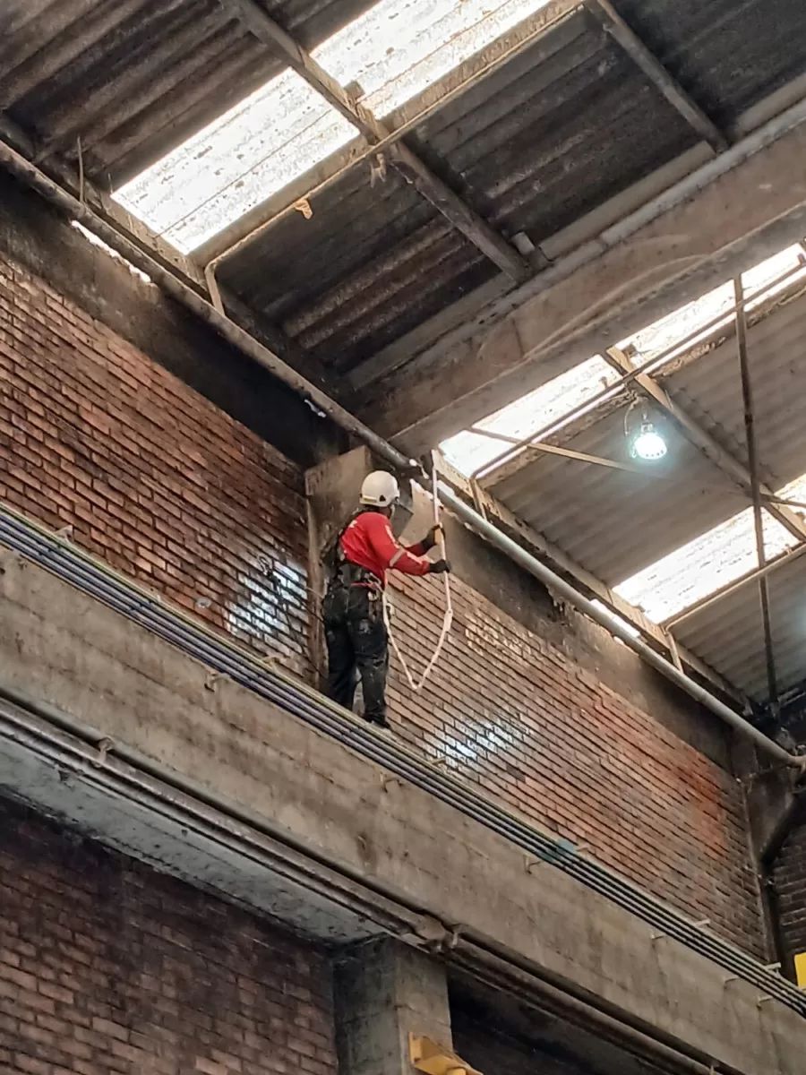 17398362257108_a7b0f063